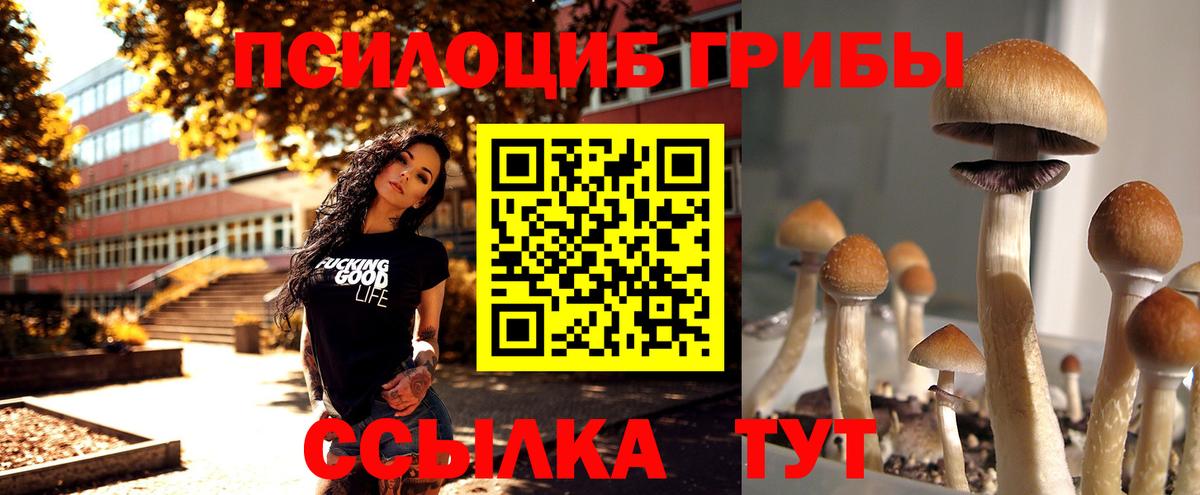 Галлюциногенные грибы GOLDEN TEACHER  Псилоцибиновые грибы ЛСД  Людиново  Вход с VPN 