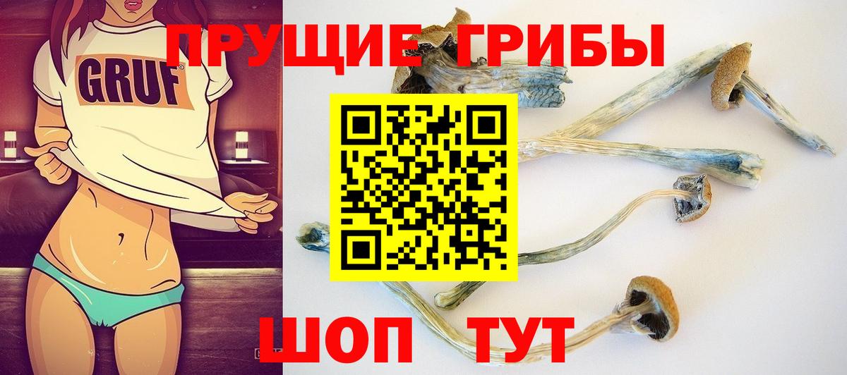 Галлюциногенные грибы Magic Shrooms Людиново